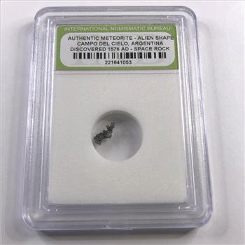 Authentic Meteorite- Alien Shape Campo Del Cielo, Argentina Discovered 1576AD *In Protective Holder