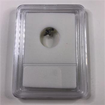 Authentic Meteorite- Alien Shape Campo Del Cielo, Argentina Discovered 1576AD  *in Protective Sleeve