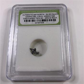 Authentic Meteorite- Alien Shape Campo Del Cielo, Argentina Discovered 1576AD  *in Protective Sleeve