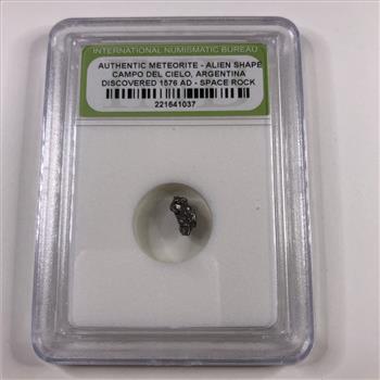 Authentic Meteorite- Alien Shape Campo Del Cielo, Argentina Discovered 1576AD  *in Protective Sleeve