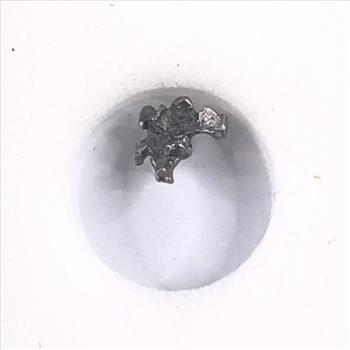 Authentic Meteorite Alien Shape Campo Del Cielo, Argentina*Discovered 1576 AD*Space Rock