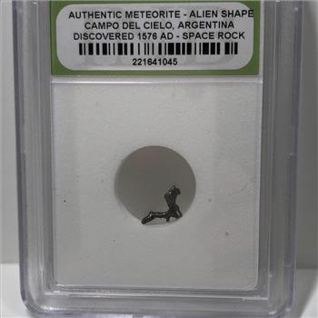 Authentic Meteorite ALIEN SHAPED Space Rock*Discovered in 1576 AD at Campo Del Cielo, Argentina