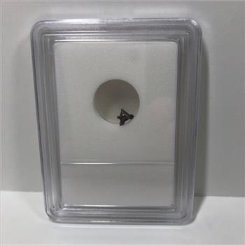 Authentic Meteorite ALIEN SHAPED Space Rock*Discovered in 1576 AD at Campo Del Cielo, Argentina