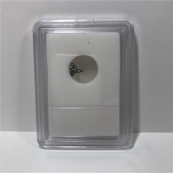 Authentic Meteorite ALIEN SHAPED Space Rock*Discovered in 1576 AD at Campo Del Cielo, Argentina