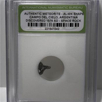 Authentic Meteorite ALIEN SHAPED Space Rock*Discovered in 1576 AD at Campo Del Cielo, Argentina
