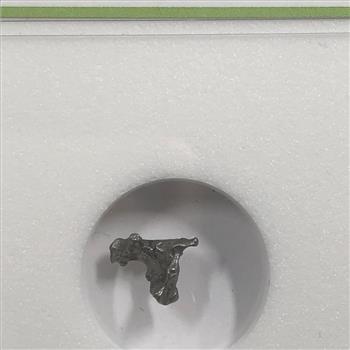 Authentic Meteorite Campo Del Cielo Argentina Discovered 1576 AD Space Rock