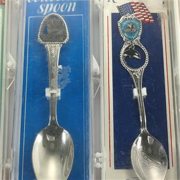 Collection of State Spoons 5 Total with Boxes