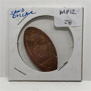 Elongated Sand Dollar