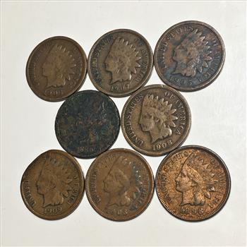 Lot of Eight Indian Head Cents*Various Grades