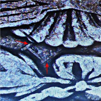 MINT ERROR*1891-O Morgan Silver Dollar*Clash Die 