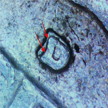 MINT ERROR*1962-D/D REPUNCHED MINT MARK Silver Washington Quarter