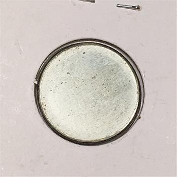 MINT ERROR*Unplated Cent Planchet