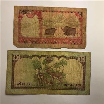 Nepal 5 & 10 Rupee Banknotes in protective sleeve