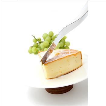 Magisso Balance Serving Set Cheese Knife in Stainless Steel