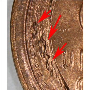 1955 Major Cud Error Rev, Lamination Errors Brilliant Uncirculated Wheat Cent