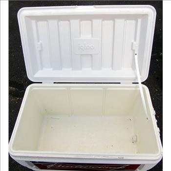 Budweiser Igloo Cooler