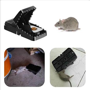 6 pc Heavy Duty Mouse Traps