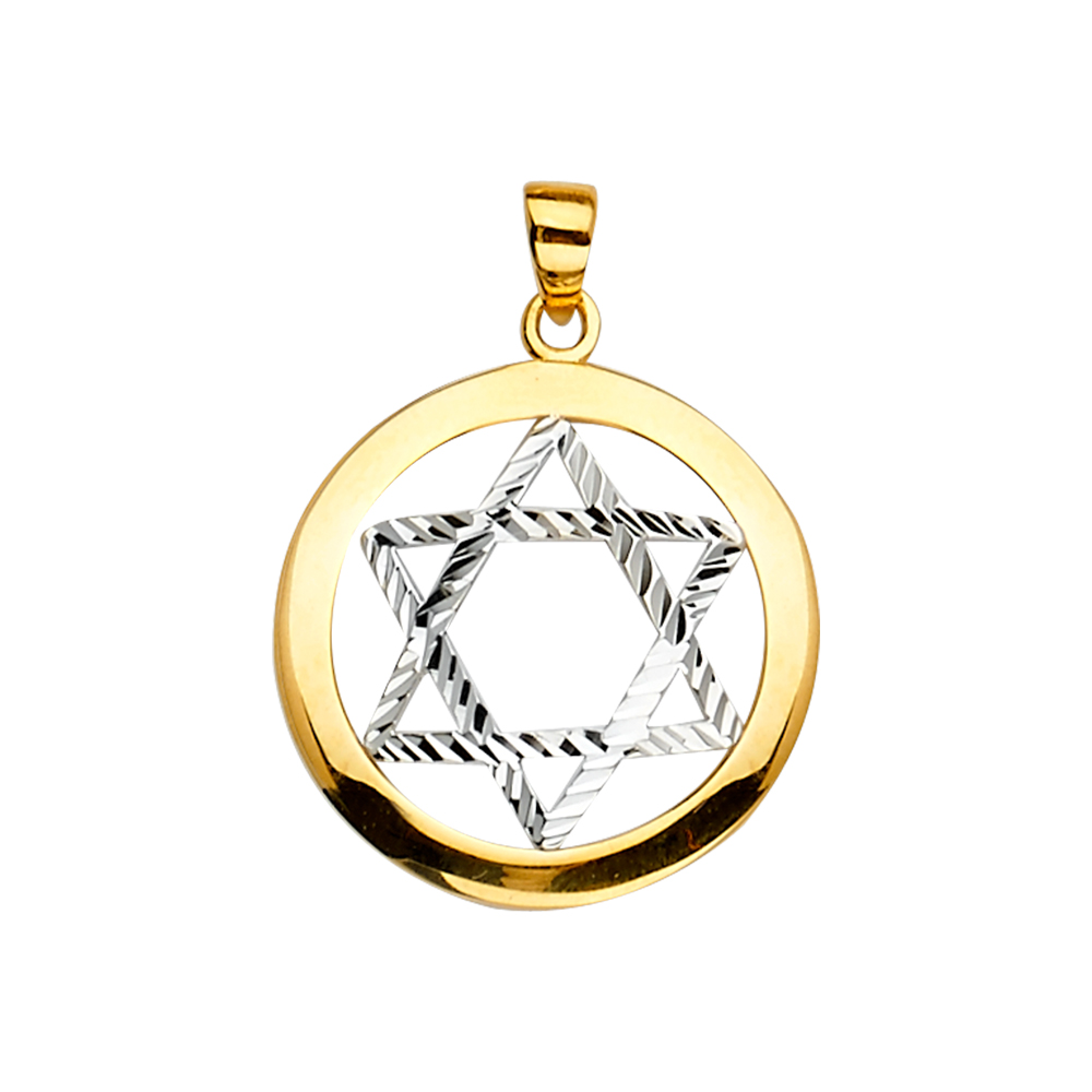 14K Two Tone Gold Star of David Pendant