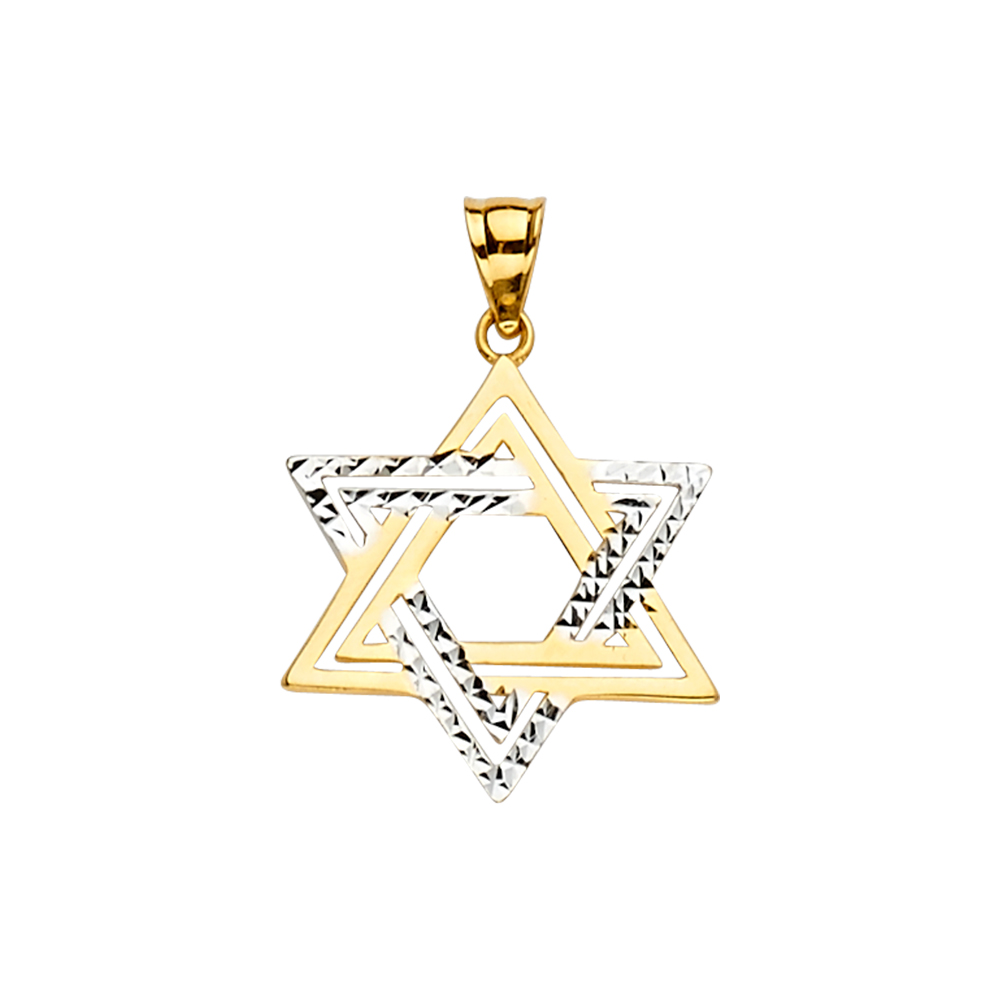 14K Two Tone Gold Star of David Pendant