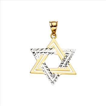 14K Two Tone Gold Star of David Pendant