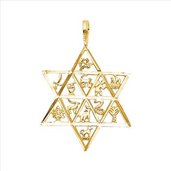 14K Yellow Gold 12 Animal Star Pendant - 24 mm X 21 mm