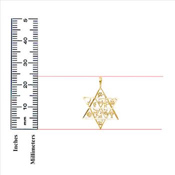 14K Yellow Gold 12 Animal Star Pendant - 24 mm X 21 mm
