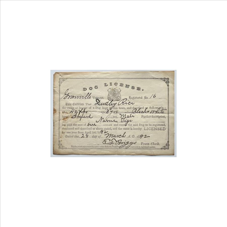 * 1892 Granville Vermont Dog License for "Tige" E.S. Briggs, Town Clerk Property Room
