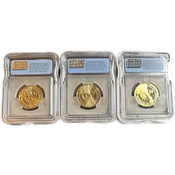 >2008 (P, D & S) Set of 3 ICG Certified MS67 & PR70 DCAM Presidential First Strike $1 Dollar Coins - Andrew Jackson