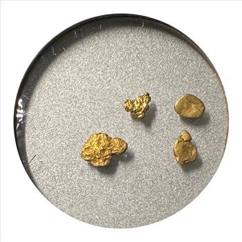 Alaska Gold Nuggets! 4 Different Sized Little Pieces Of Alaska History!