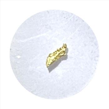 - Alaska Gold Nugget! 1 Little Piece of Alaskan History!