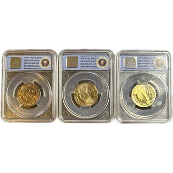 >2010 (P,D & S) Set of 3 ANACS Certified MS67, MS67 & PR70 DCAM Presidential First Strike Coins - Millard Fillmore