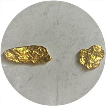 Alaska Gold Nuggets! 2 Different Sized Little Pieces Of Alaska History!