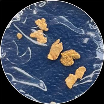 Alaska Gold Nuggets! 5 Different Sized Little Pieces Of Alaska History! * 