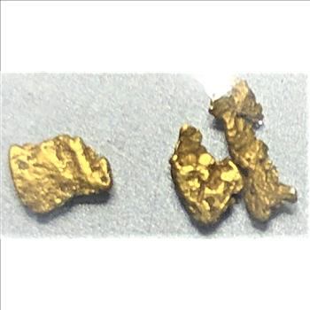 Alaska Yukon Gold Nuggets! .117 Grams Pure Alaska Gold!