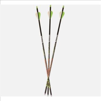 Carbon Express Adrenaline Archery Arrows Fletched 400 6- Pack 