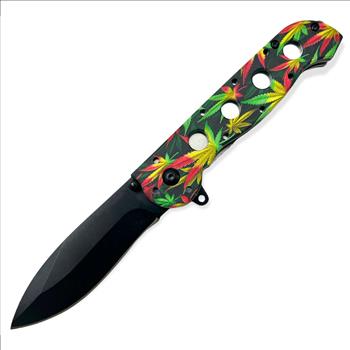 Spring Assisted Knife
