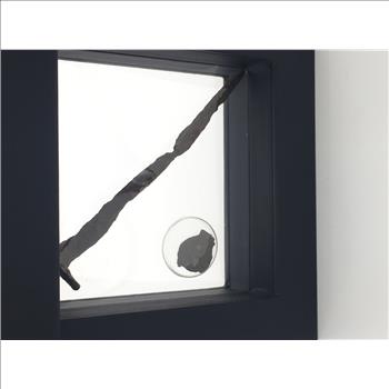 Roman Nail, Created and Used by the Roman Empire Within 50 Years of the Crucifixion of Christ & Widows Mite 1st Century B.C as Mentioned in the Book of Mark 12:41-44