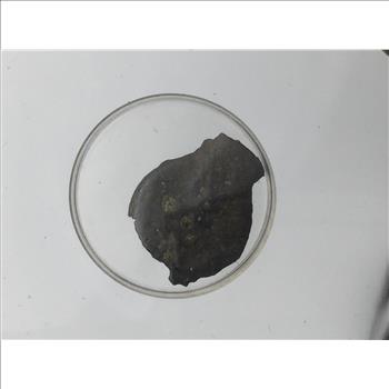 Roman Nail, Created and Used by the Roman Empire Within 50 Years of the Crucifixion of Christ & Widows Mite 1st Century B.C as Mentioned in the Book of Mark 12:41-44