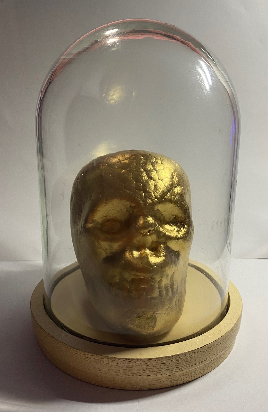 Skeleton Head in Glass Display