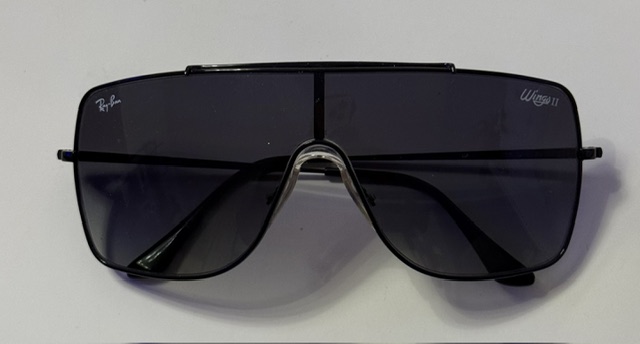 Ray-Ban Wings II Sunglasses
