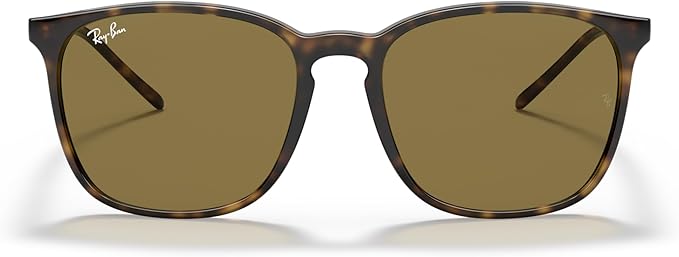 Ray-Ban RB4171 Erika Round Sunglasses