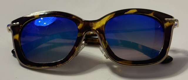 Daisy Lane Tortoise-Patterned Sunglasses 