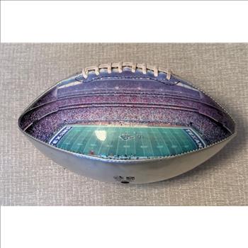 One of a Kind football Houston Super Bowl XXXVII