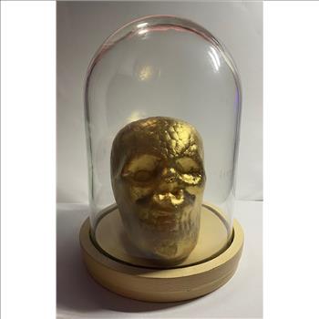 Skeleton Head in Glass Display