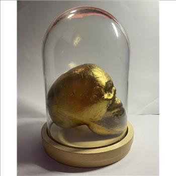 Skeleton Head in Glass Display