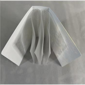 Pokemon - Mini Portfolio - Arceus