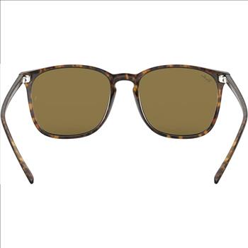  Ray-Ban RB4387 Square Sunglasses