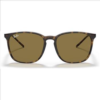 Ray-Ban RB4171 Erika Round Sunglasses