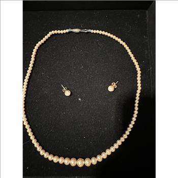 Imitation Pearl Necklace and Earring Set