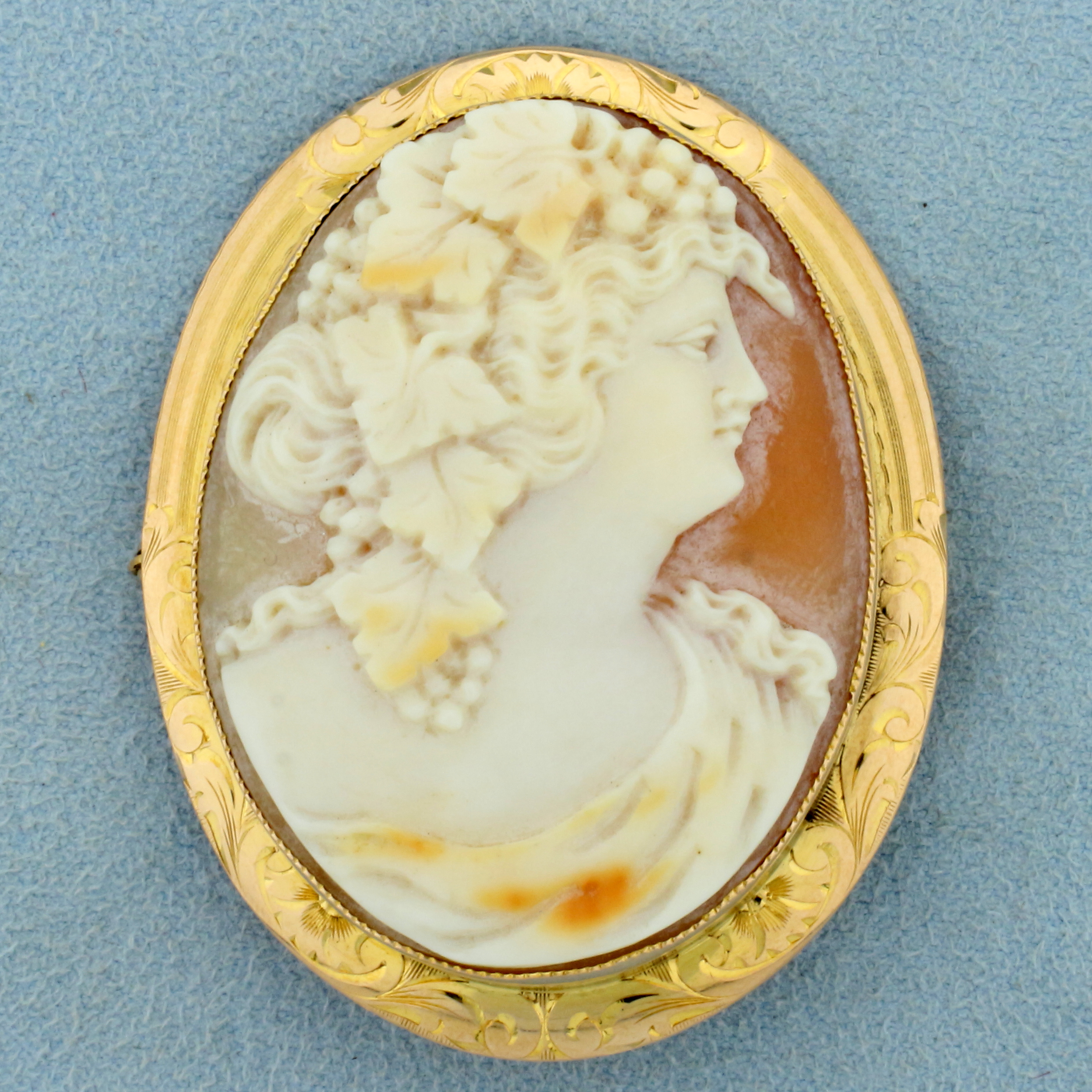 Antique Etched Frame Cameo Pin or Pendant in 10K Yellow Gold